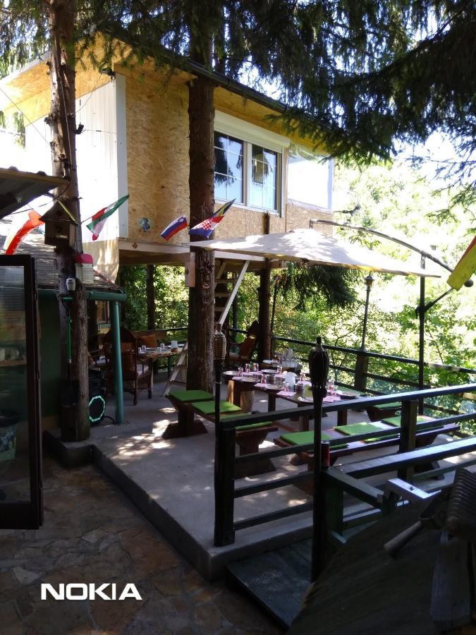 شقة Tree House فيسوكو المظهر الخارجي الصورة