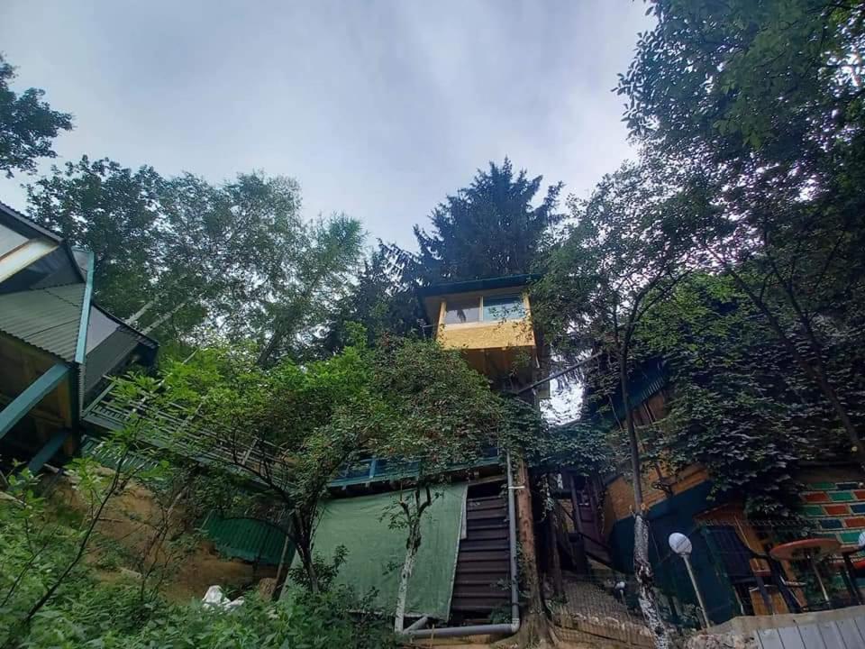 شقة Tree House فيسوكو المظهر الخارجي الصورة